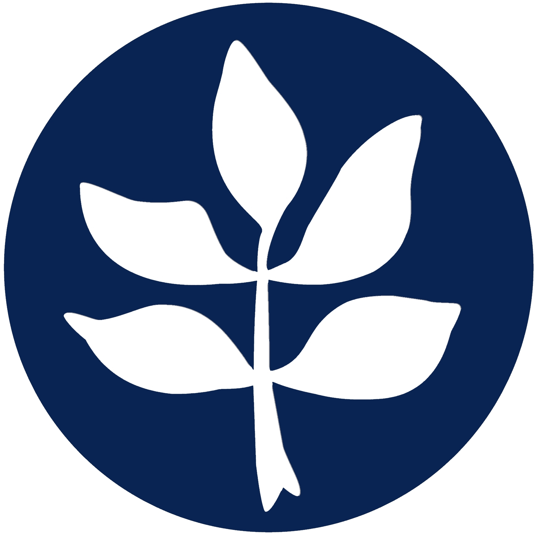 Logo blau klein